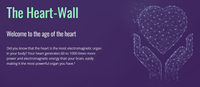 the-heart-wall-emo-codel